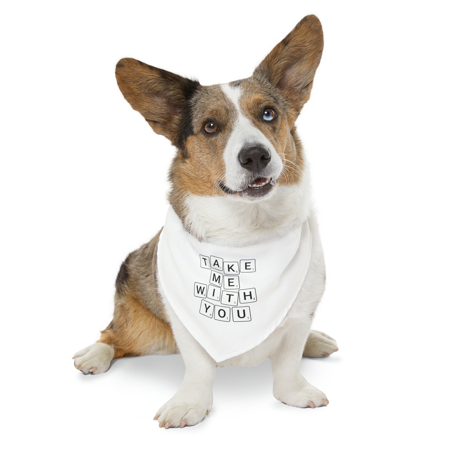 Take Me With You Pet Bandana Collar