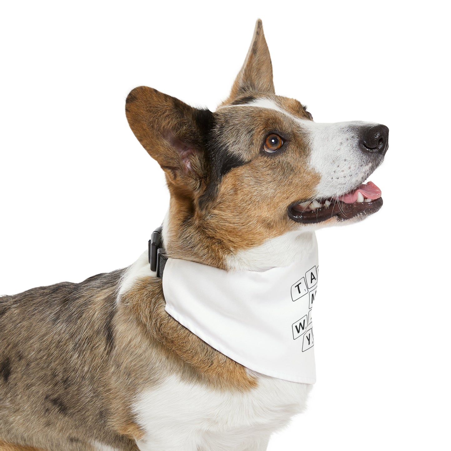 Take Me With You Pet Bandana Collar