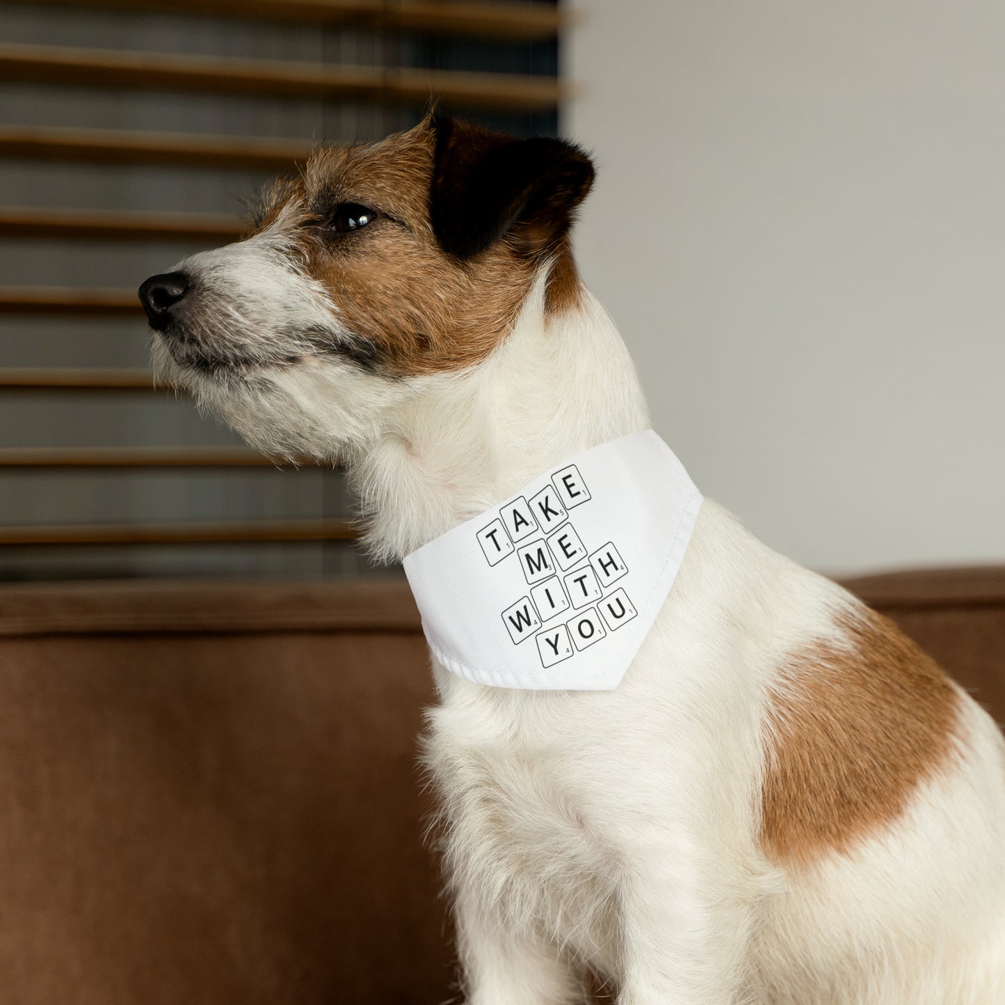 Take Me With You Pet Bandana Collar