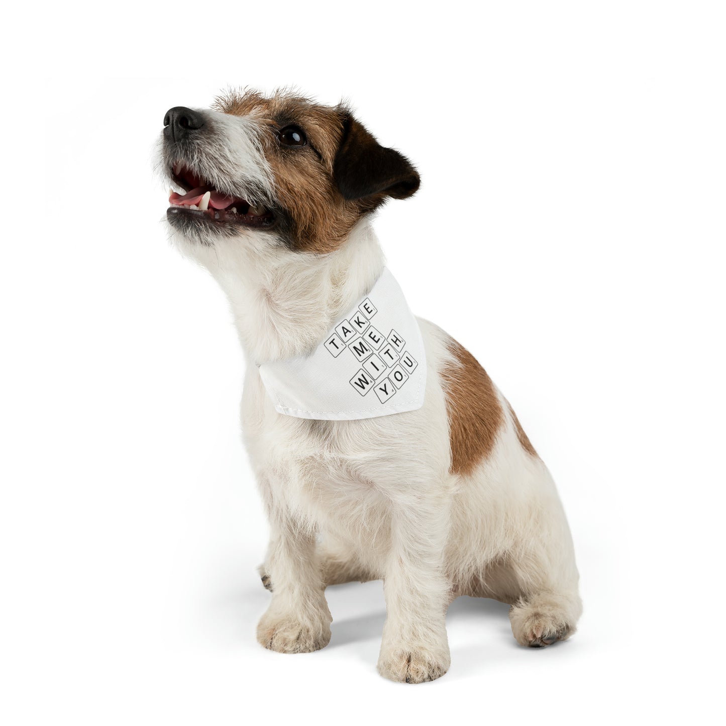 Take Me With You Pet Bandana Collar