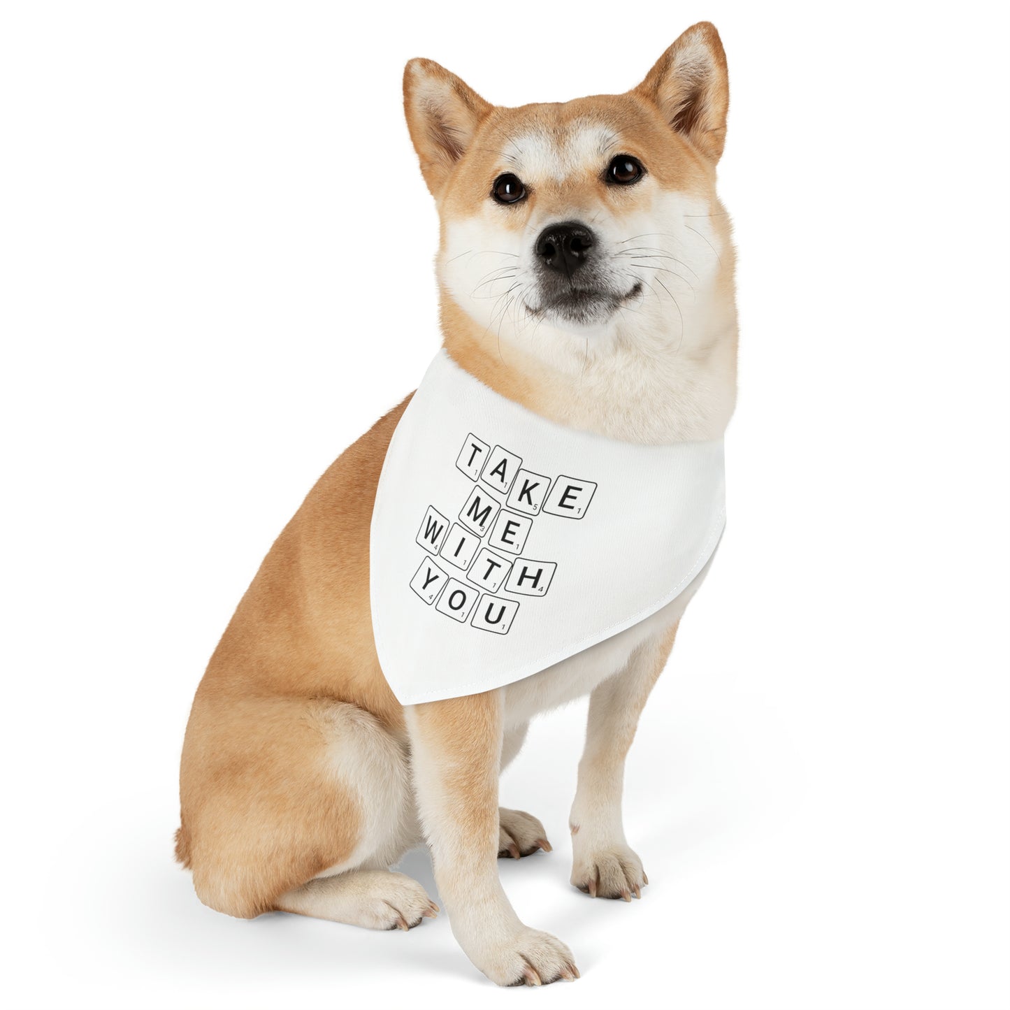 Take Me With You Pet Bandana Collar