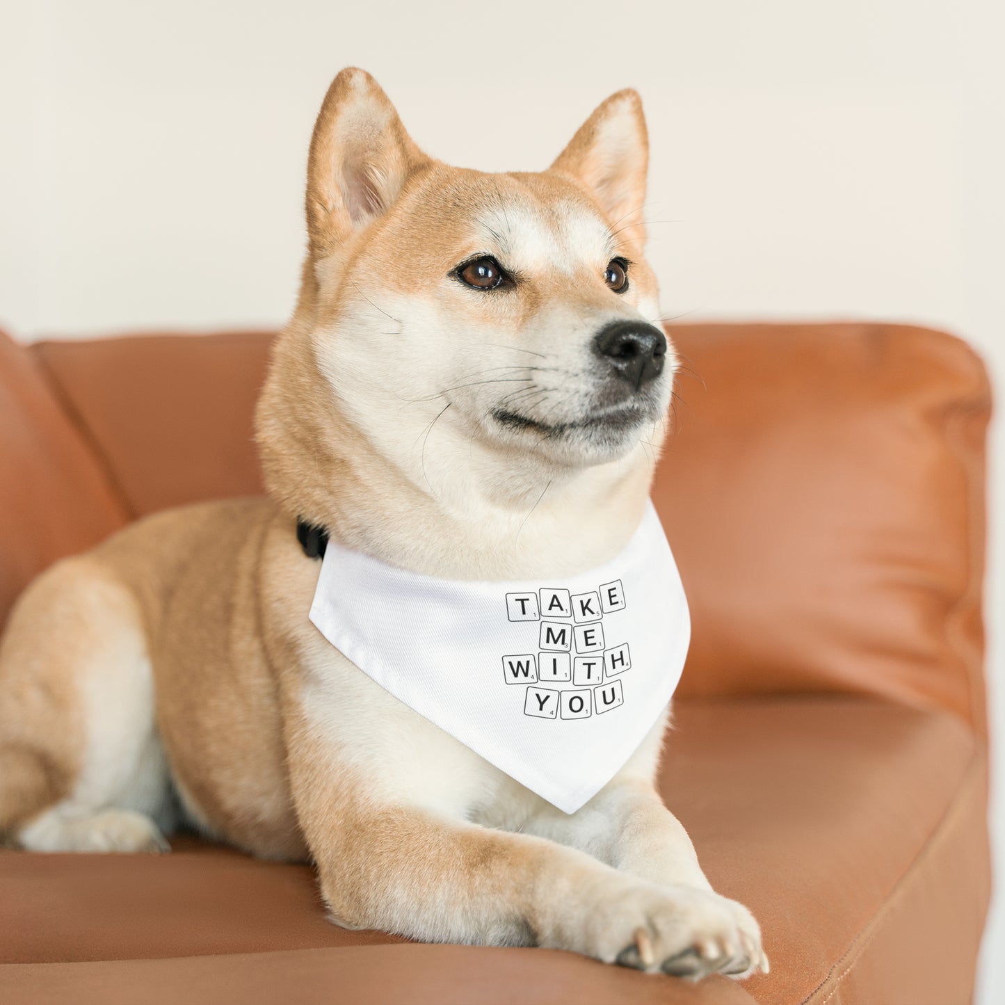 Take Me With You Pet Bandana Collar