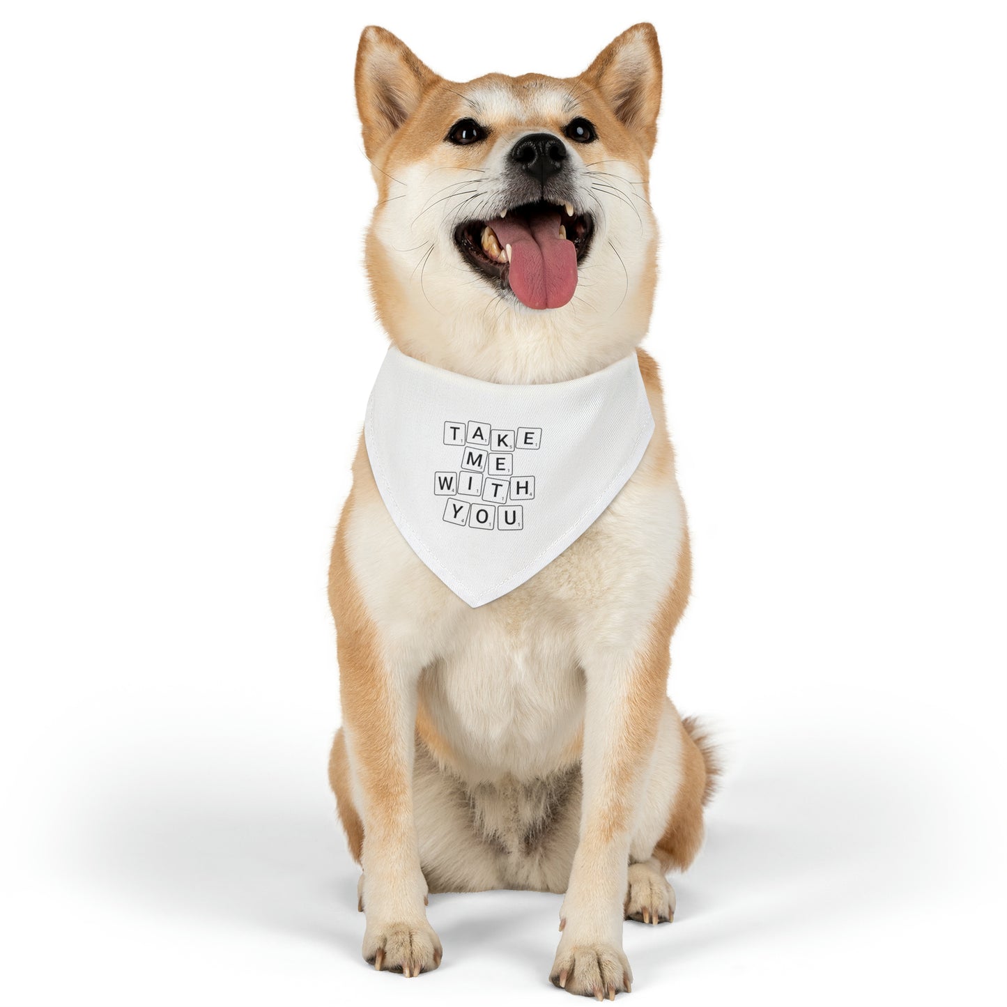 Take Me With You Pet Bandana Collar